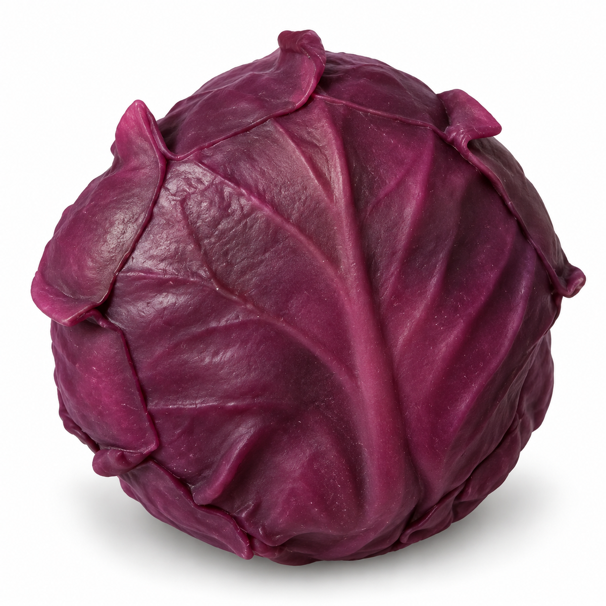 Mr. McGregor’s Cabbage