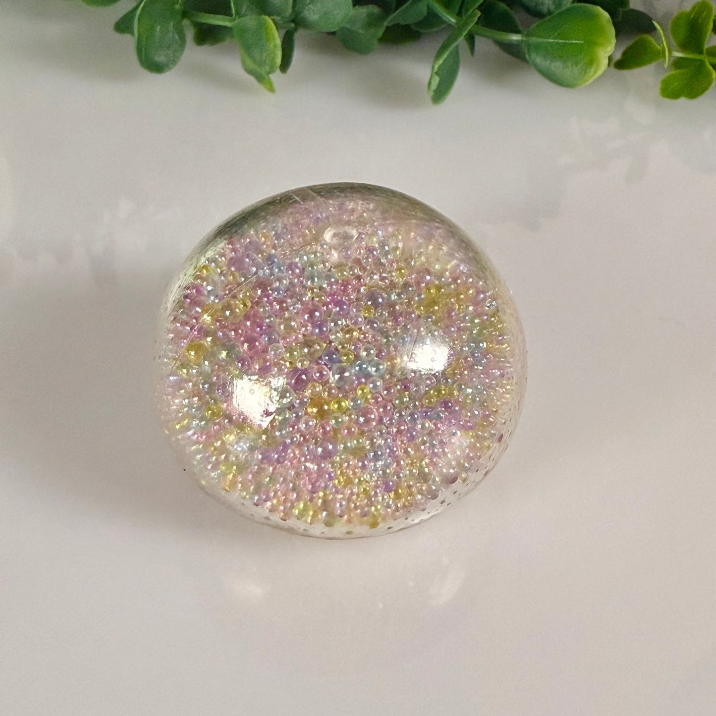 Star Sprinkle ✨