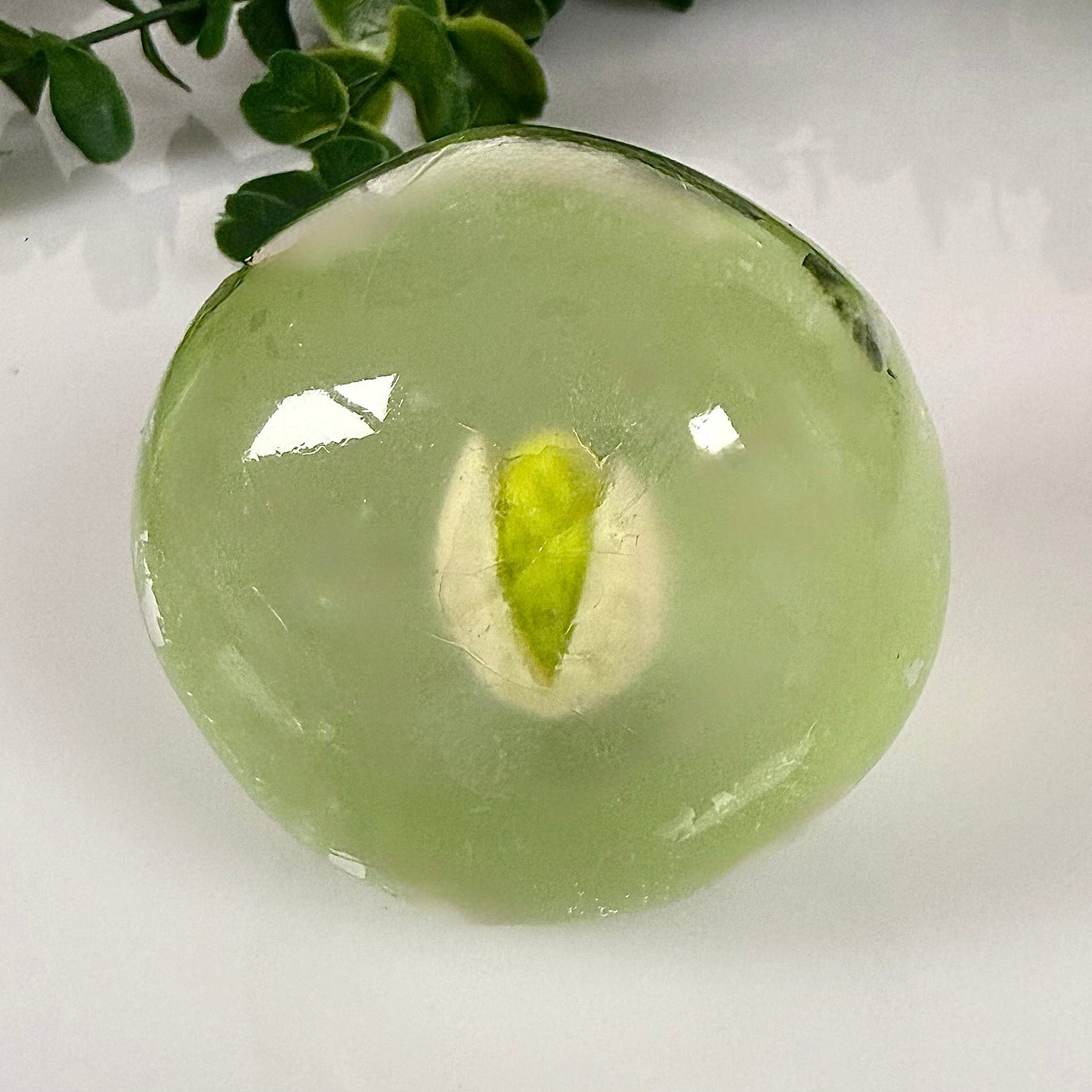 Pistacio Milk 🌿🥛