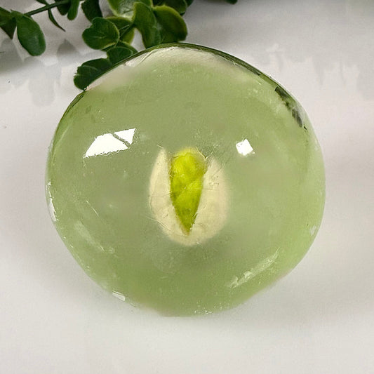 Pistacio Milk 🌿🥛