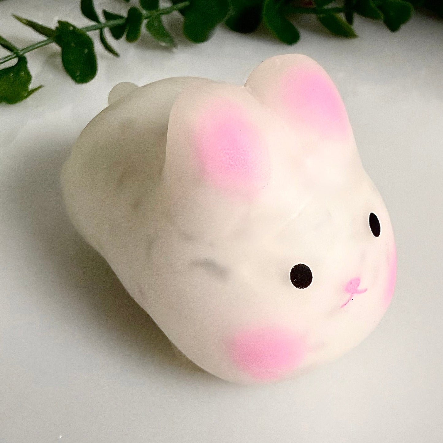 Cottontail 🐰☁️