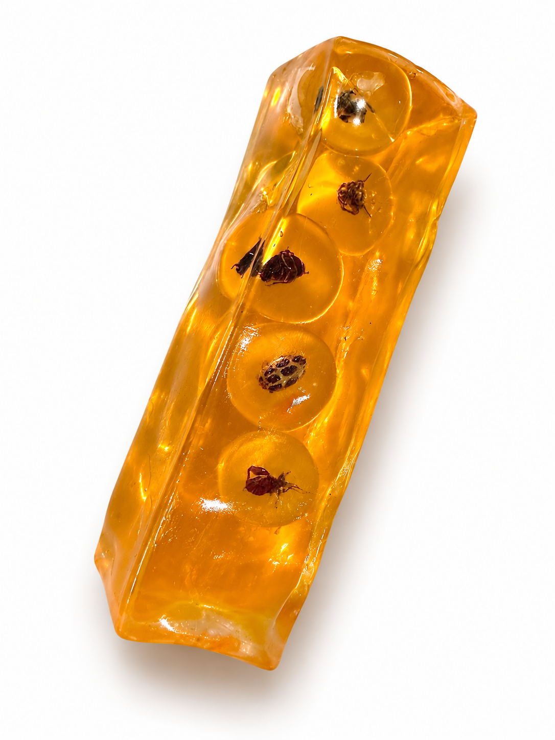 Amber Specimen-Drops tonight!