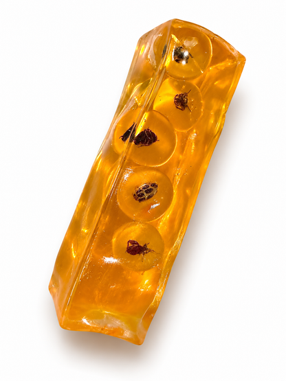 Amber Specimen-Drops tonight!