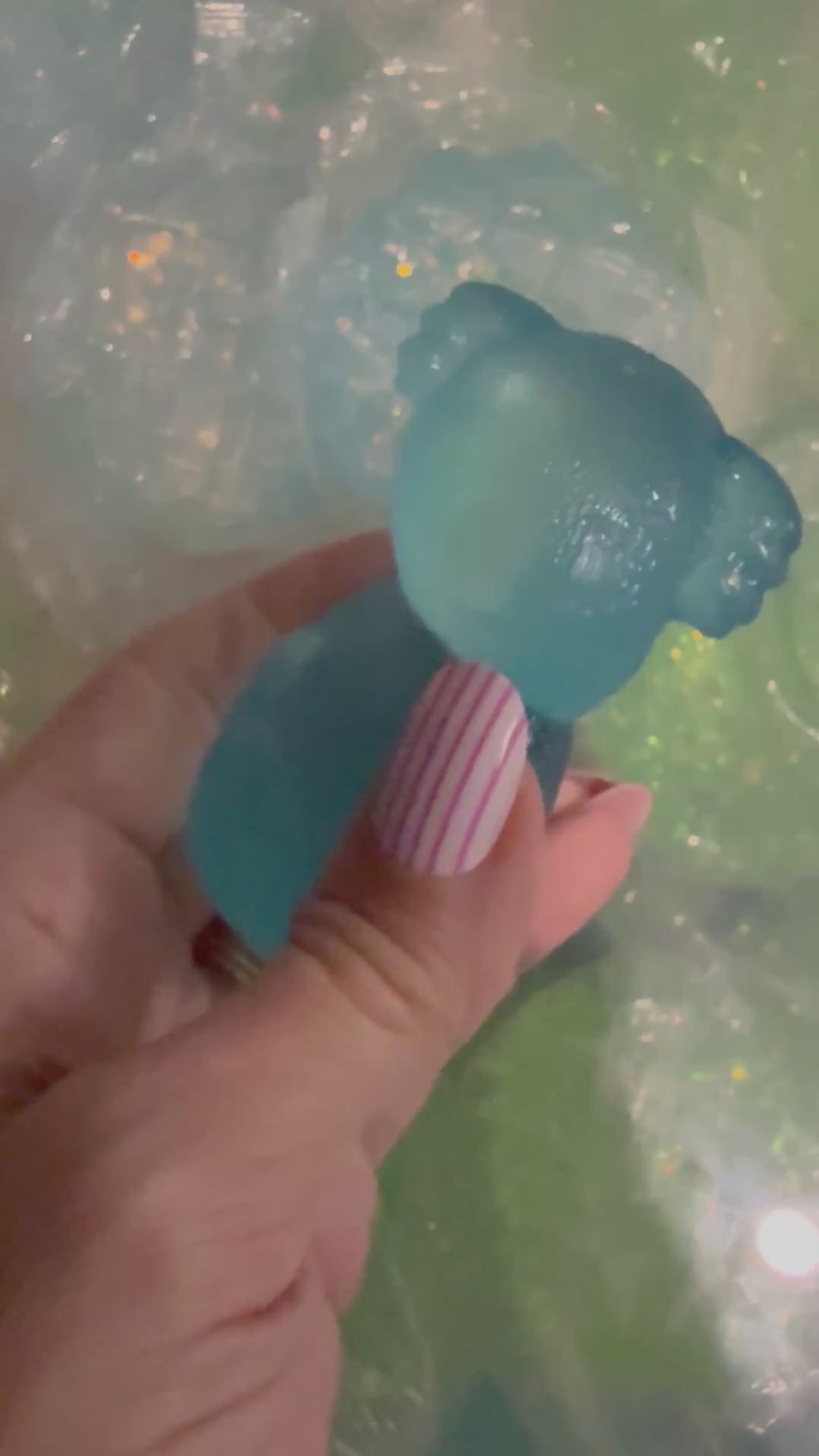 Sugar Koala